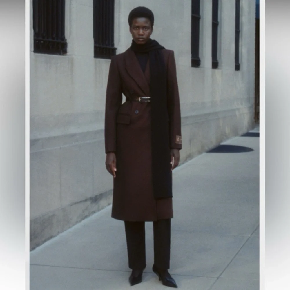 Virgin Wool Cashmere Aritzia Babaton The Constant Coat - Picture 5 of 12